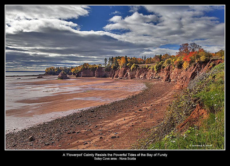 3268 -Soley Cove area.jpg :: One of the several flower pots of Soley Cove in the Bay of Fundy
