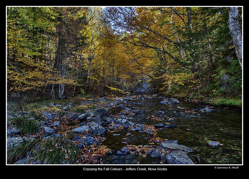 3276 -Jeffers Brook reflections.jpg :: Fall reflections in Jeffer's Brook