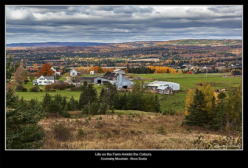 3553 -58 -Fall arrives on the mountain.jpg :: Farm life on Economy Mtn as fall arrives