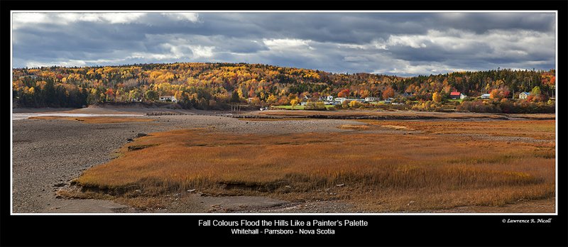 3571 -3595 -Whitehall -Parrsboro  Harbour.jpg :: Fall in the Harbour at low tide in Parrsboro