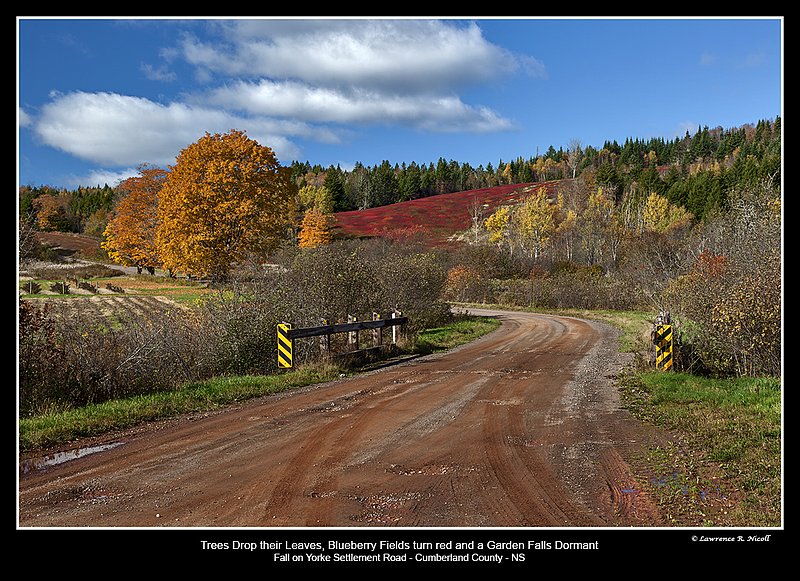 3623 -Fall Colours On York Settlement Rd.jpg :: Fall Colours in Nova Scotia