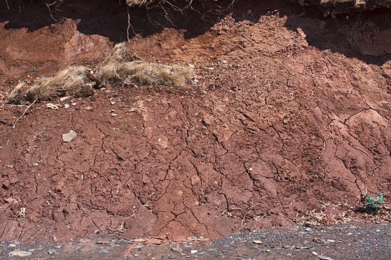 3964 -Mud Cracks -Cliffs of East Bay.jpg :: Mud banks are rapidly eroded by the Bay of Fundy Tides