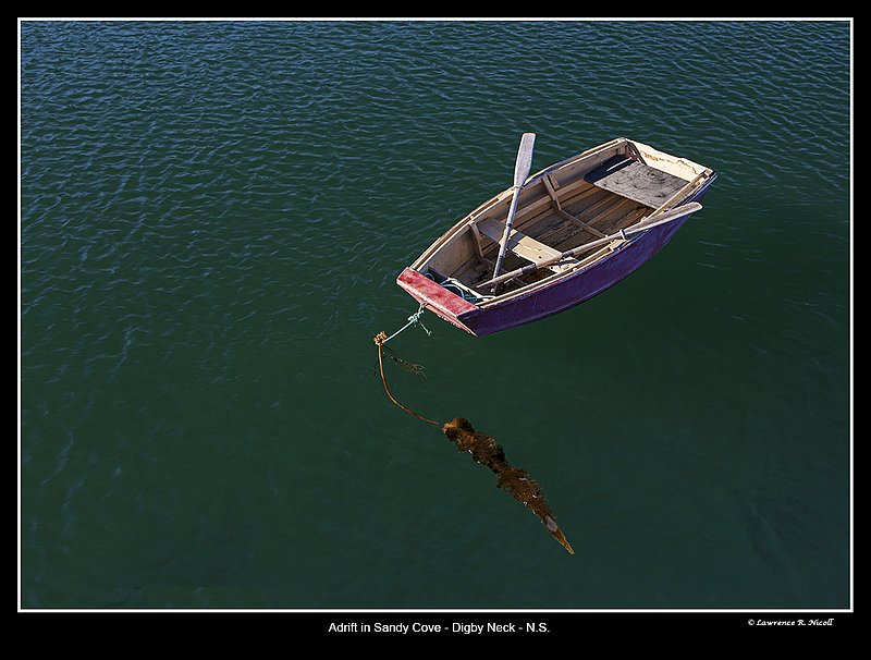 4165 -Sandy Cove - Digby Neck.jpg :: Floating free in Sandy Cove, Digby Neck, NS