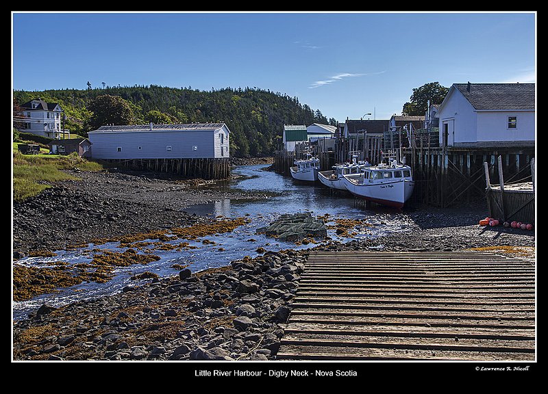 4217 -Little River - Digby Neck.jpg :: Stranded at Low tide in Little River Harbour, Digby Neck, NS