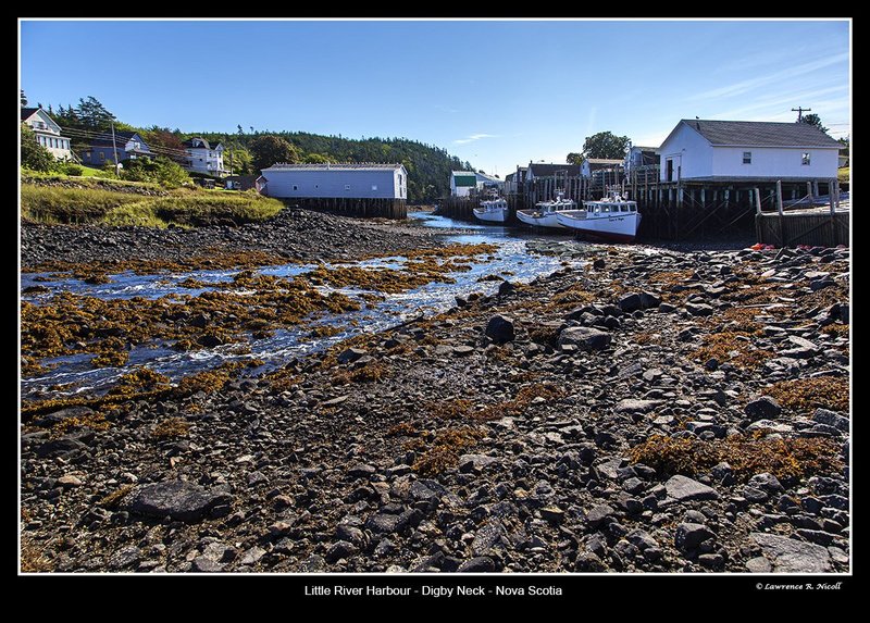 4248 -Little River - Digby Neck.jpg :: Stranded at Low tide in Little River Harbour, Digby Neck, NS