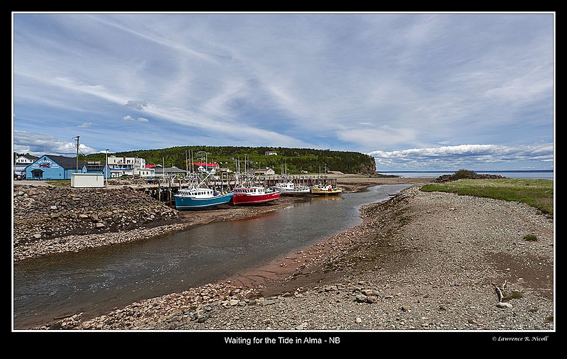 4293-98 -Alma -NB.jpg :: Harbour at Alma, New Brunswick