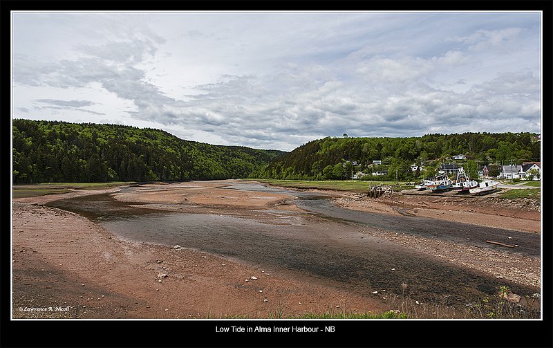 4306-12 -Alma inner Hbr -NB.jpg :: Inner harbour at Alma, New Brunswick