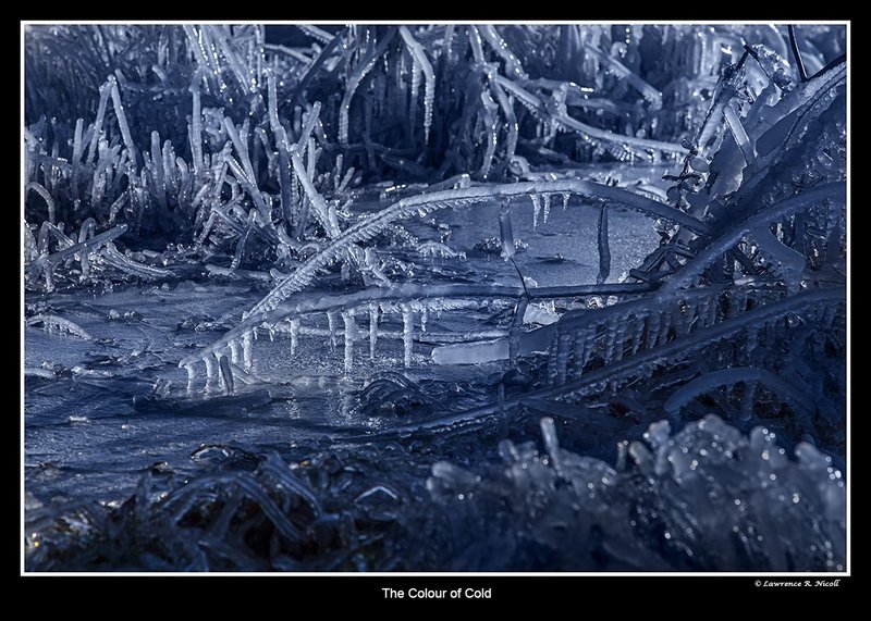 4487 -The Colour of Cold.jpg :: Ice and colours of cold