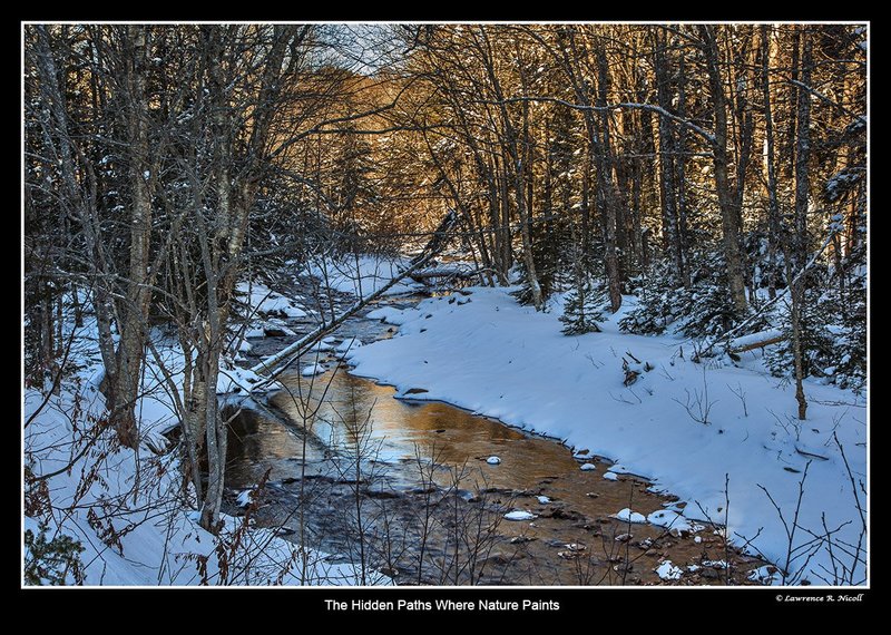5270 -Moose River area -.jpg :: Early light glows in creek in winter
