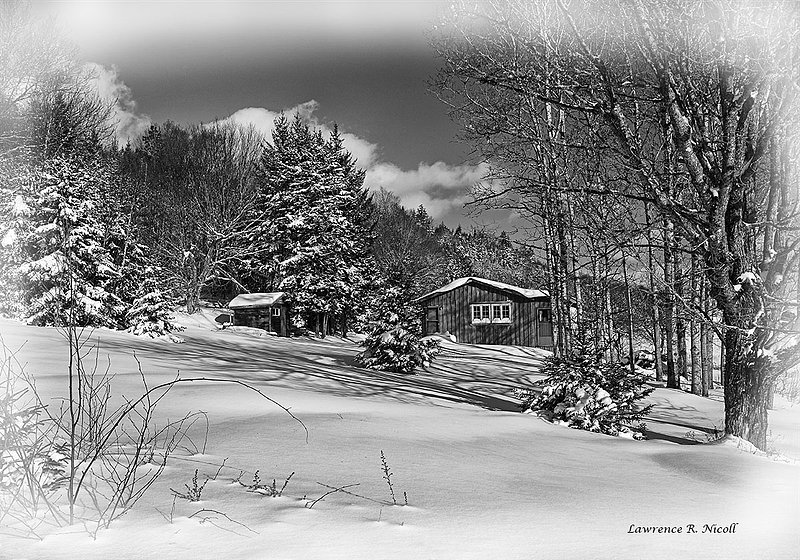 5593 -Santas Elves workshop.jpg :: The house Santa's Elves work in