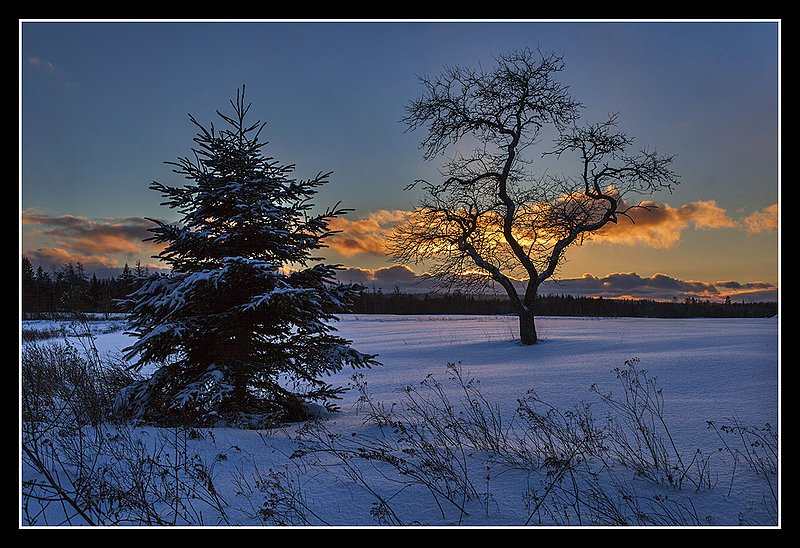 5734 -FIngers in the sky.jpg :: Like fingers reaching for the sun at sunset