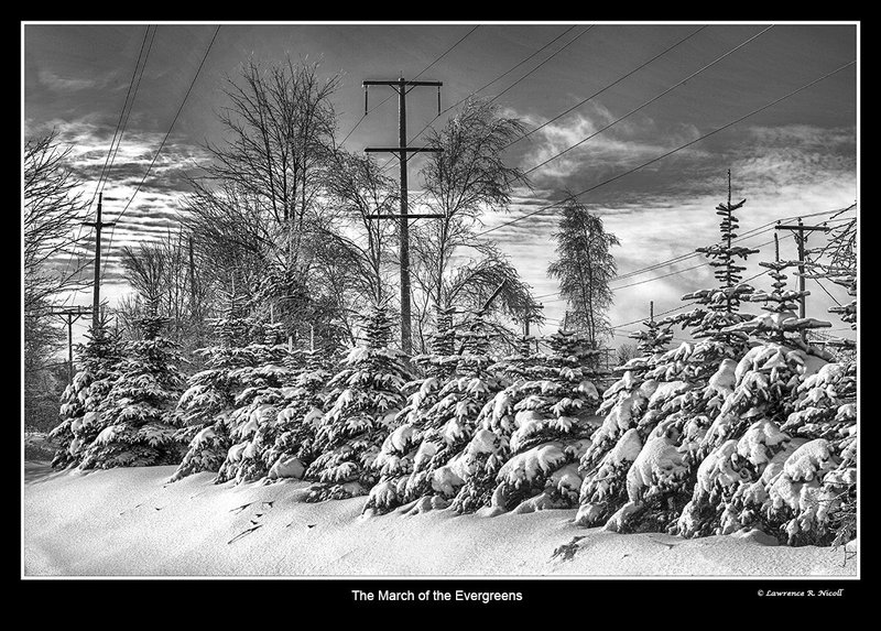 5864 -All in a row.jpg :: A march to nowhere in the snow