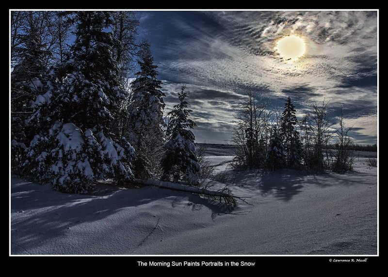 5886 -The sun burns a image on the canvas.jpg :: Like a painter, the sun dispatches shapes on the landscape