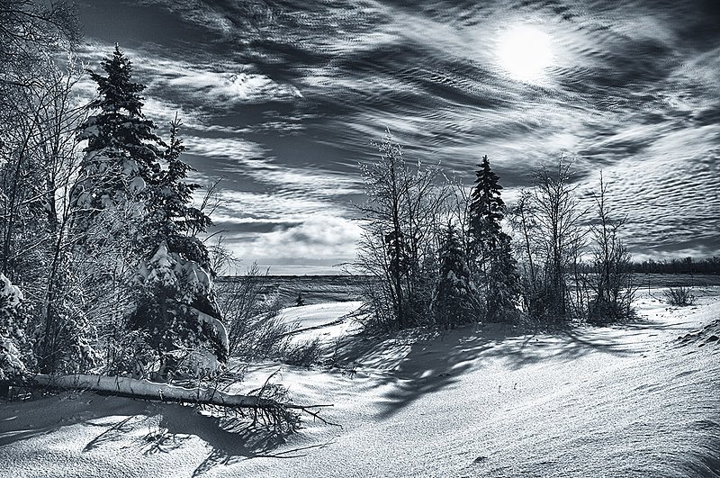 5988 -Snow -Ice  Sun.jpg :: The sun shines on fresh snow in a surreal landscape