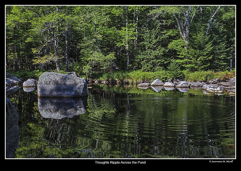 6158 -Ripples in the Pond.jpg :: Ripples break the solitude -Bear River, NS