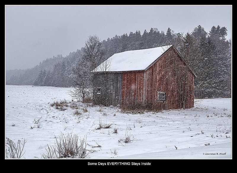 6211 -Refuge from the storm.jpg :: In a winter storm, a lonely barn offers refuge