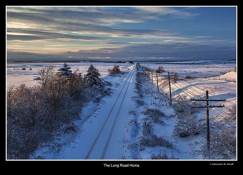 6256 -Long Road Home.jpg :: A long & Lonely trail along the trackway on a winter`s day