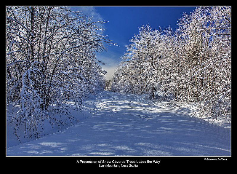 6728 -A Forgotten road in winter.jpg :: A Forgotten road, Ice and snow make a winter wonderland