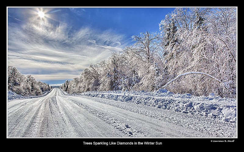 6786 -Lynn Mtn Rd after the Ice storm.jpg :: The sun strikes a pose on a snow & ice covered scene