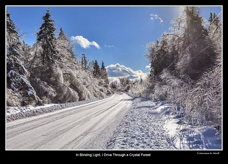 7460 -Crystal Forest.jpg :: An Ice Crystal Forest by Daylight