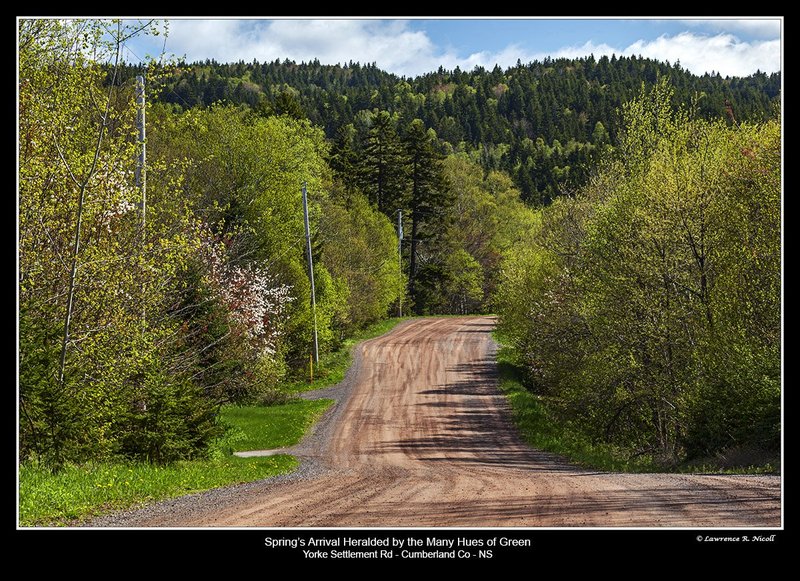 7845 Spring on York Settlement Rd.jpg :: Yorke Settlement Rd, Cumberland County in the spring