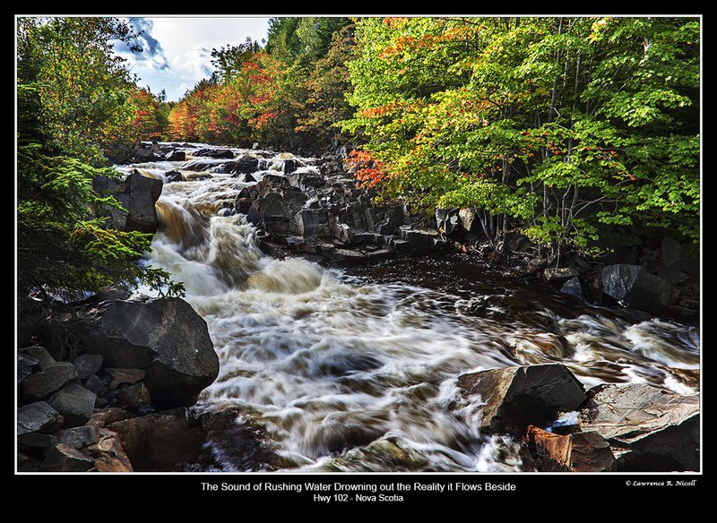 9194 -Secrets of the Highway.jpg :: Unknoticed by most, a wonderful scene beside the highway