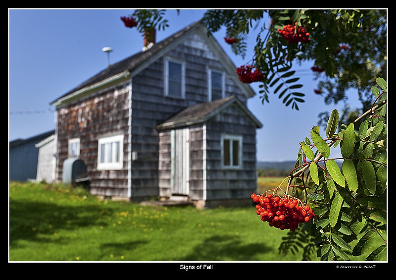 9225 -The Beauty of Spring.jpg :: Rich greens and fruits the work of Spring Sun in Nova Scotia