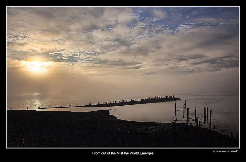 9691 -Morning mist in Parrsboro.jpg :: Rising Mist reveals the dock ready to leave on the incoming tide