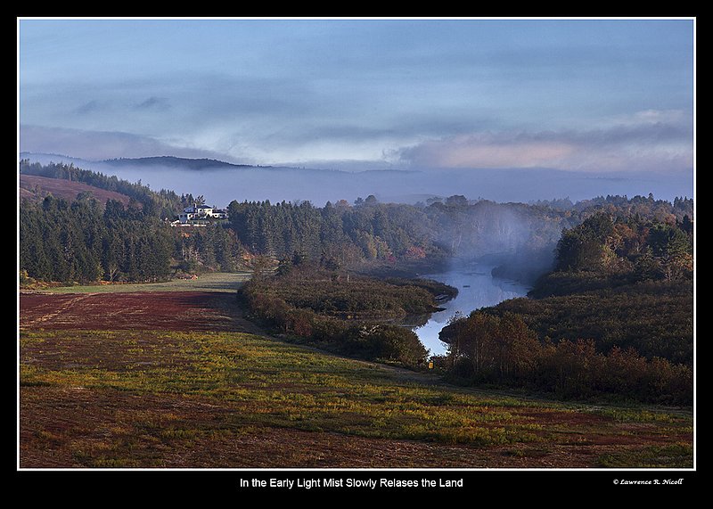 9725 -Morning mist over Farrell River.jpg :: Mist struggles to survive the morning sun