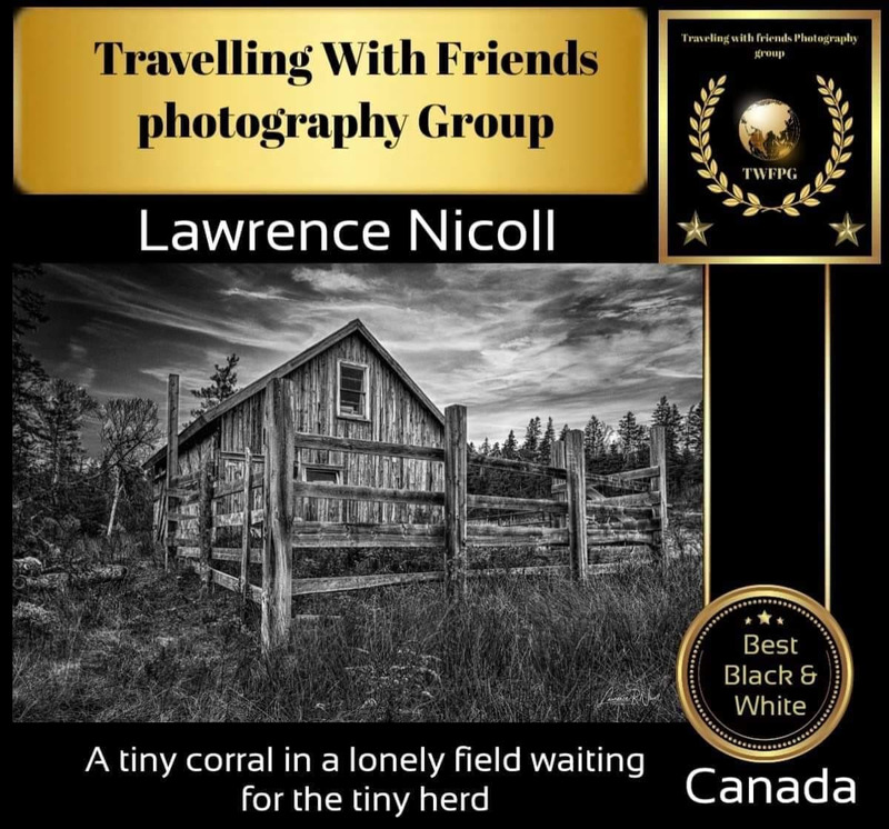 BW Award Dec 2020.jpg