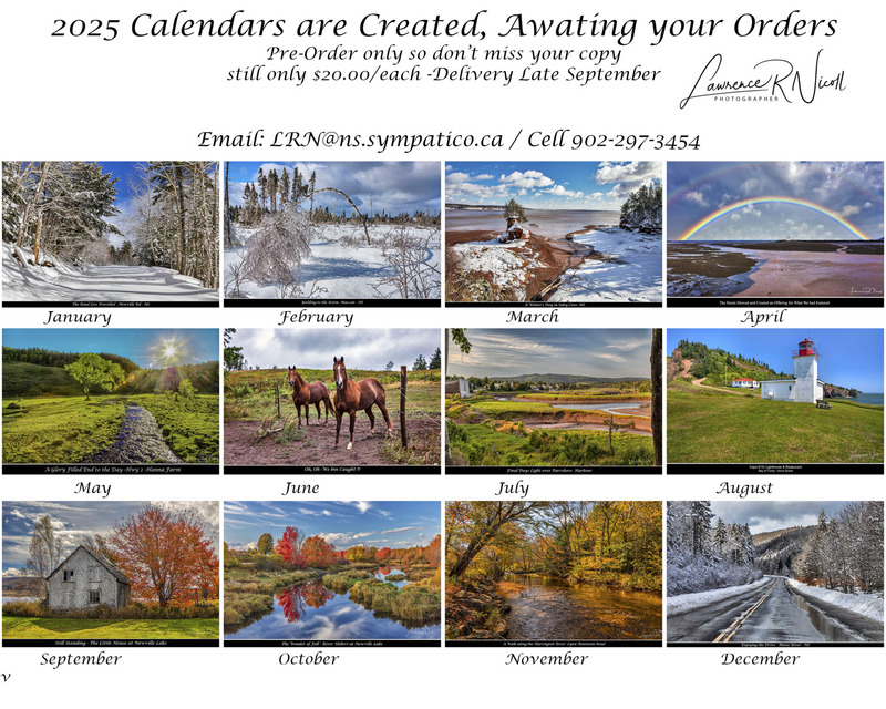 ContactSheet-Hor -WEB.jpg