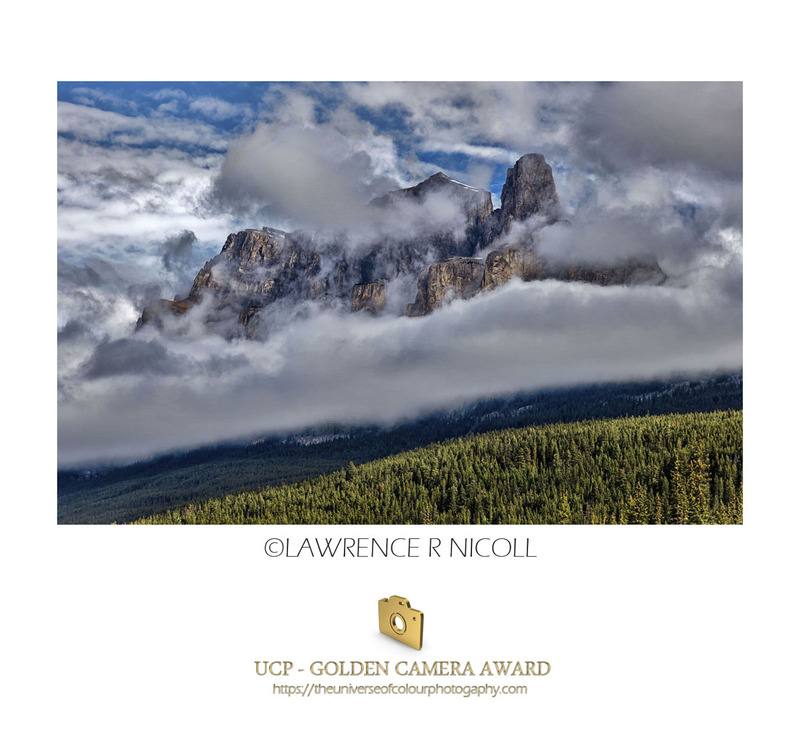 Golden Camera Award -WEBpage.jpg