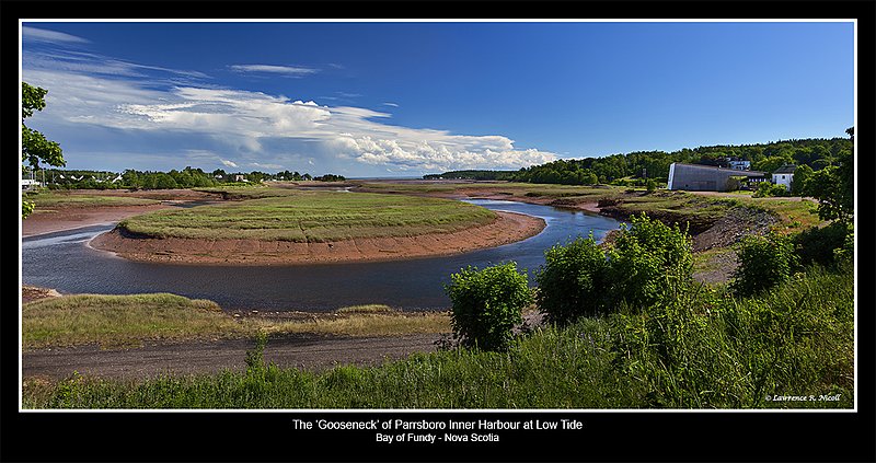 M-513-D -Goosenecks -Parrsboro.jpg :: A formation often called Goosenecks at low tide, Parrsboro, NS