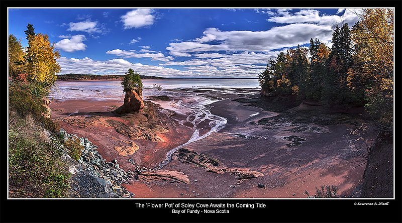 M165-F  -Soley Cove at Low Tide.jpg :: Soley Cove Flower Pot at Low Tide in the Bay of Fundy
