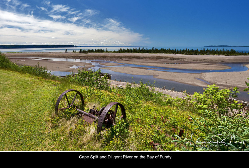 M185C - Diligent River at Low Tide(1).jpg