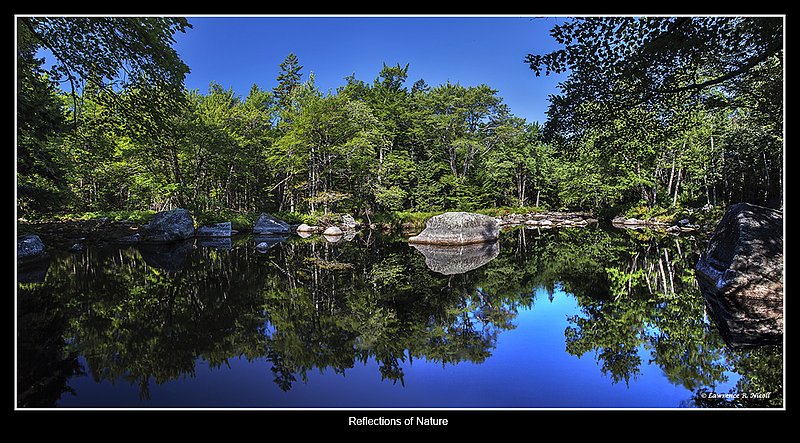 M645  -Quiet Pond on Bear River.jpg :: Still Moments on Bear River area