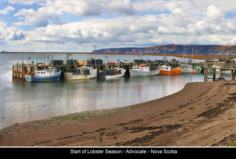 Nbr M197 -Advocate Hbr(1).jpg