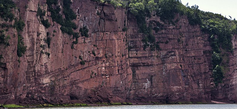 Nbr M241-O -8754-8769 -Squally Point cliff face -ADJ -Web.jpg