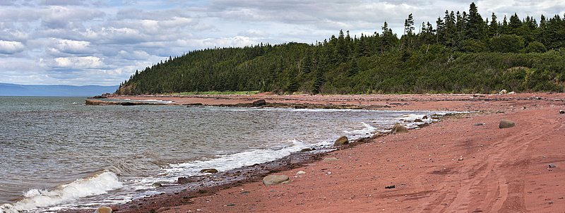 Nbr M241-P -8774-8828 -Halibut Head -Spicers Cove -ADJ -Web.jpg
