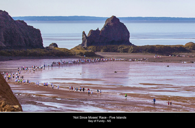 Not Since Moses Race on the Ocean Floor(1).jpg