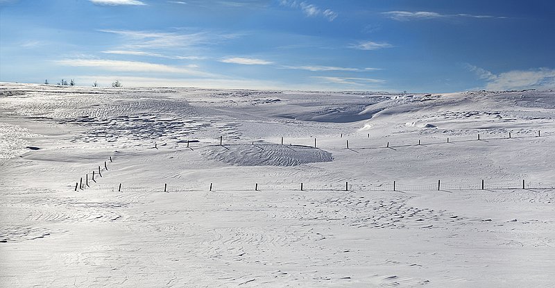_MG_0015-21 -Patterns in the Snow.jpg :: Patterns in the Snow