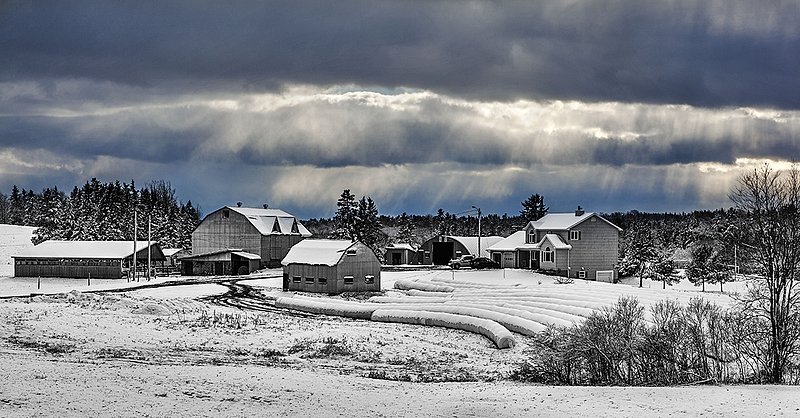 _MG_1258 -Winter Farming in Nova Scotia.jpg :: A Winter Storm at the Farm