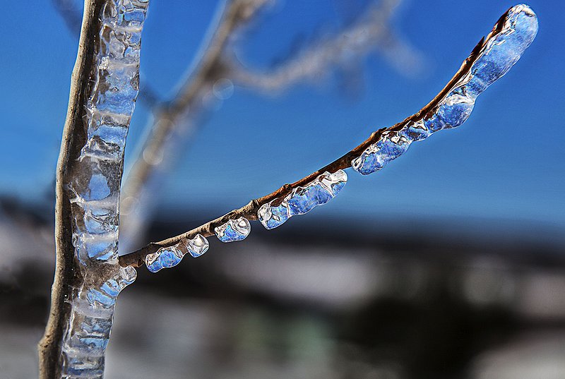 _MG_2652 -Ice Popicle.jpg :: Ice Popicle by Mother Nature