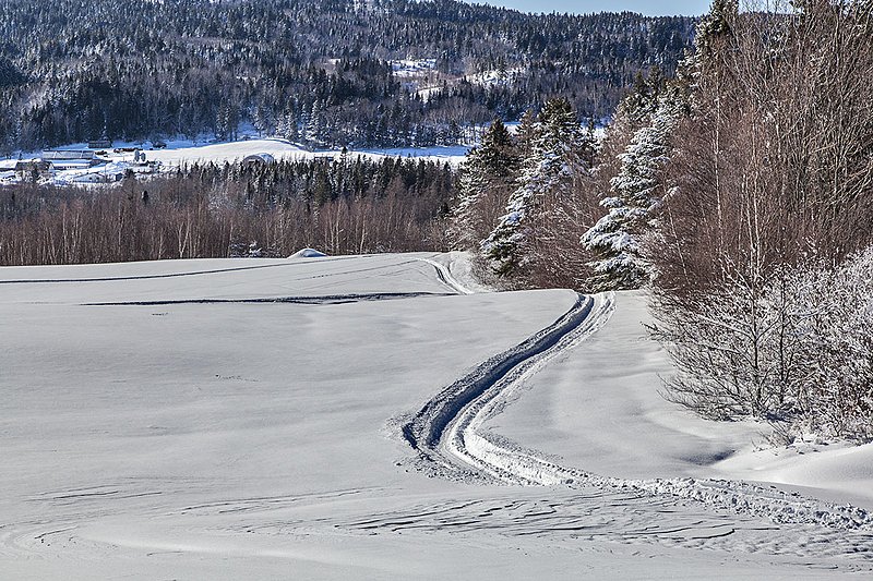_MG_3031 -Enjoying Winter.jpg :: Enjoying the Fresh snow