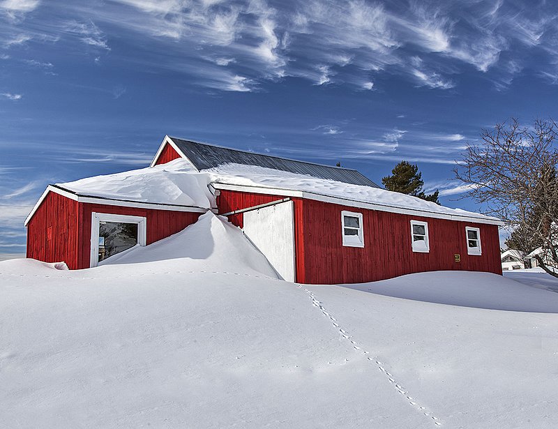 _MG_3196 -Red -Blue and White -colours of a winter day.jpg :: Tracks in the fresh snow