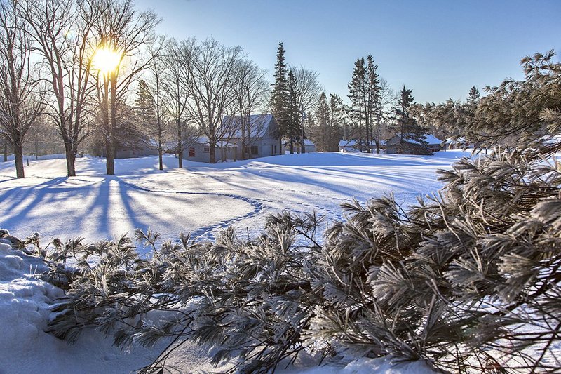 _MG_4160 -Tracks in the snow.jpg :: Trails mark the fresh snow