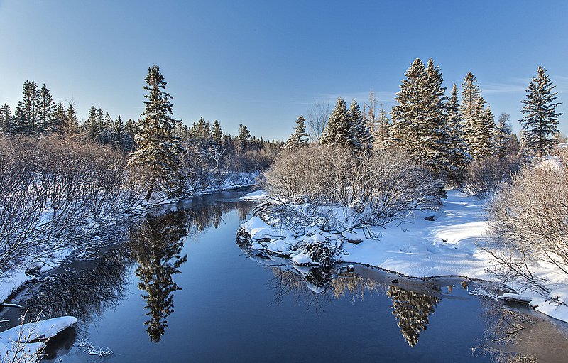 _MG_4194 -Quiet in the early morning light.jpg :: A Quiet moment before the day begins