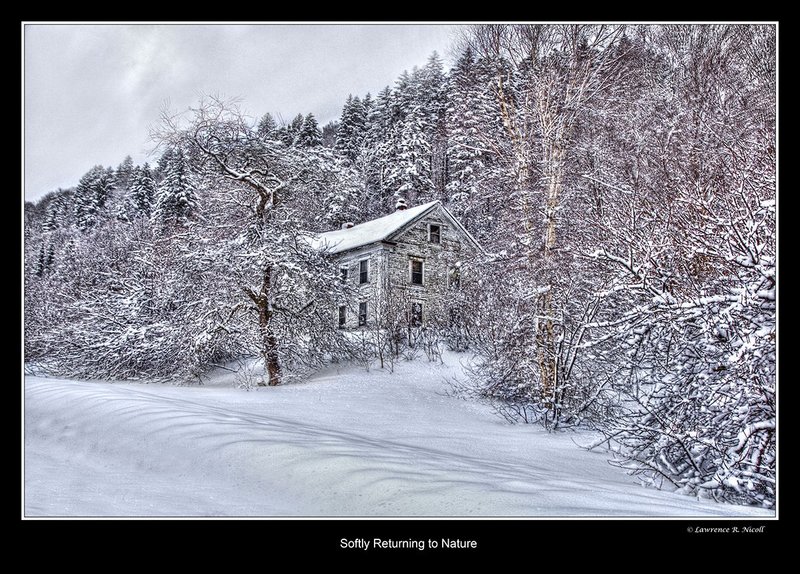 _MG_5127 -Lost in the woods.jpg :: Her duty done, a house returns to Nature