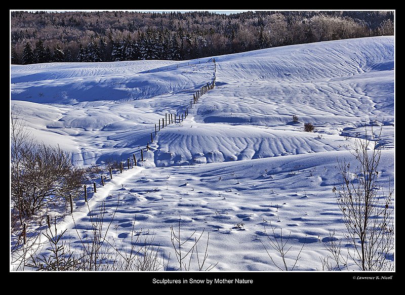 _MG_6288 -Shapes in the Snow.jpg :: Mother Nature Sculpting