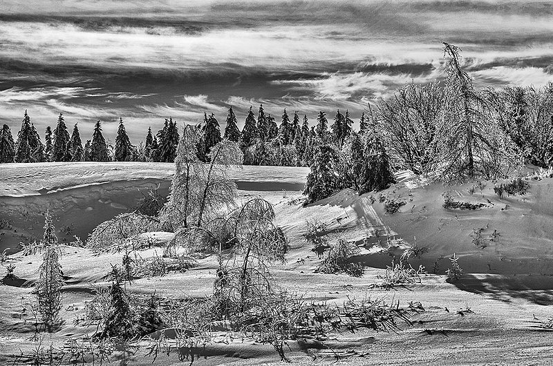 _MG_6602 -The Power of Nature.jpg :: Aftermath of a winter storm